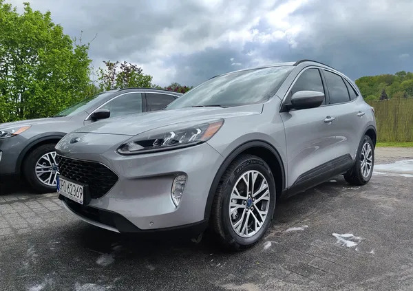 opolskie Ford Kuga cena 104999 przebieg: 23000, rok produkcji 2022 z Chełmno